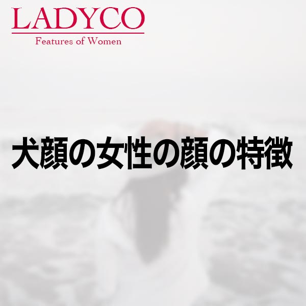 犬顔の女性の顔の特徴 Ladyco